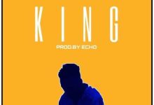 fireboy dml king instrumental
