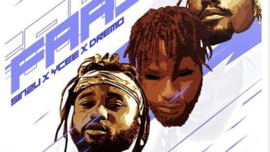 sinzu ft ycee x dremo faaji