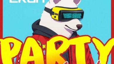 chinko ekun party animal