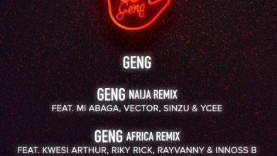 mayorkun geng remix