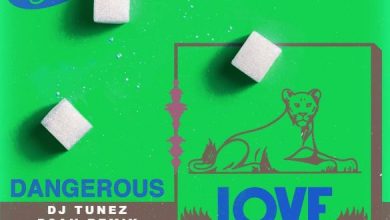 Tiwa Savage ft. DJ Tunez, D3an - Dangerous Love (Remix)