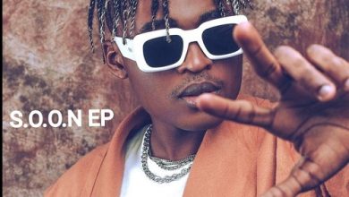 Cheque ft. Fireboy - Laye Mi mp3