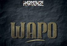 Harmonize – Wapo