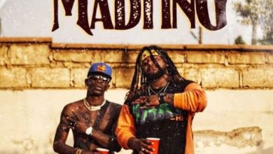 Shatta Wale ft. Captan - Madting