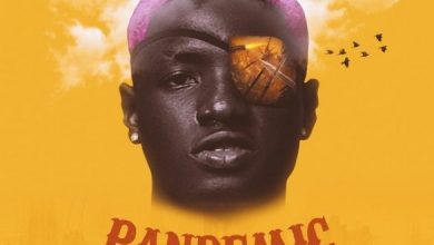 Ruger – Pandemic EP