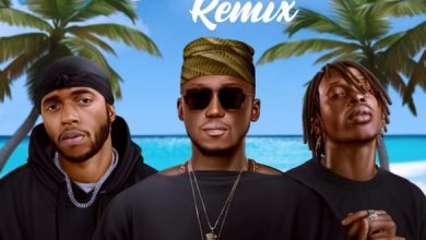 DJ Spinall – Sere (Remix) ft. Fireboy DML, 6LACK