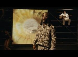 Burna Boy - Want It All ft. Polo G (Official Video)