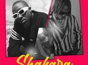 Ice Prince - Shakara ft. CKay