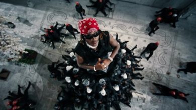 Fireboy DML – Bandana ft. Asake (Video)