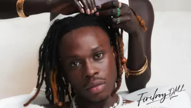 Fireboy DML & Chris Brown - Diana ft. Shenseea