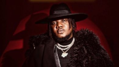 CDQ – Doings