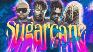 Camidoh – Sugarcane (Remix) ft. King Promise, Mayorkun, Darkoo