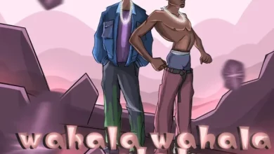 Ayanfe Viral - Wahala Wahala Wahala ft. Portable