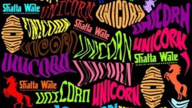 Shatta Wale – Unicorn