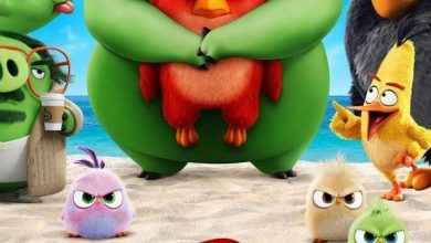 The Angry Birds 2 (2019)