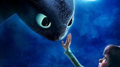 How To Train Your Dragon (2010)