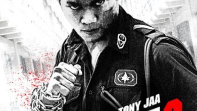 Kill Zone 2 (2015)